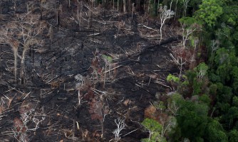 Deforestation is causing 'global warming'